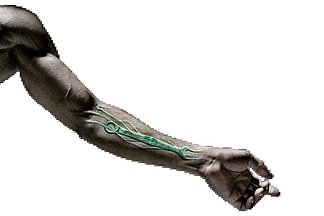 The award for best industry partner really touches Wera. 